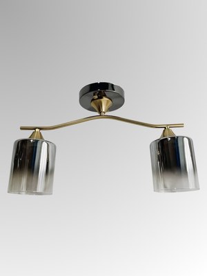 Потолочный светильник Aitin-Pro НПБ 02-2x60-102 / N6413/2