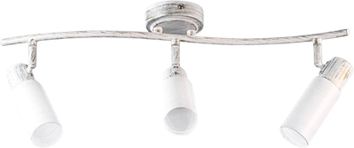 Спот Aitin-Pro НПБ 02-3х40-102 / 15064/3 - фото