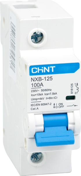 Выключатель автоматический Chint NXB-125 1P 100А 10кА C (R) / 816125 - фото