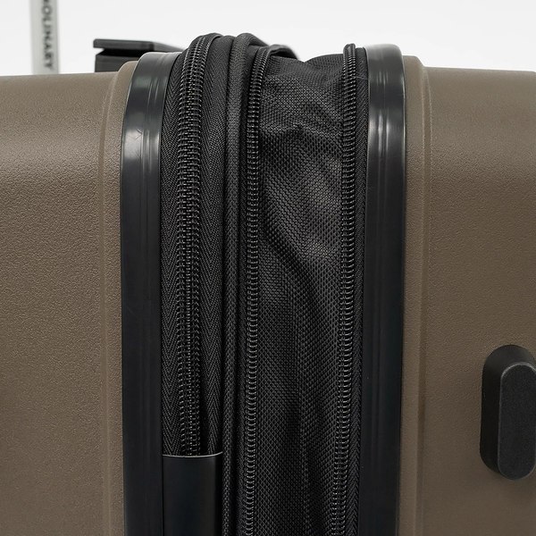 Чемодан на колесах Francesco Molinary 197-PP1906/2-24BRW