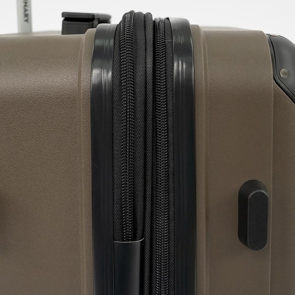 Чемодан на колесах Francesco Molinary 197-PP1906/2-24BRW