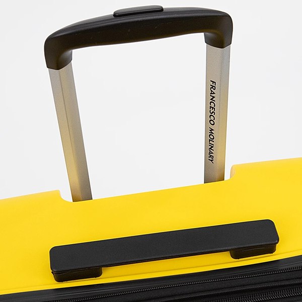 Чемодан на колесах Francesco Molinary 197-PP1906/3/20YLW