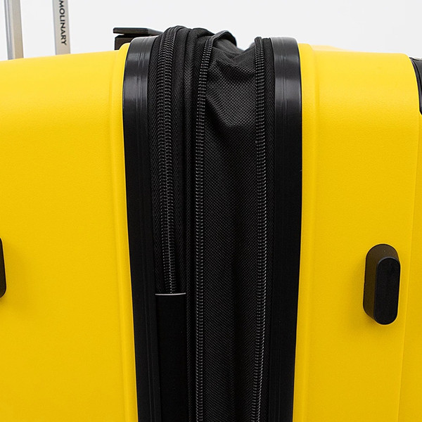 Чемодан на колесах Francesco Molinary 197-PP1906/3/24YLW