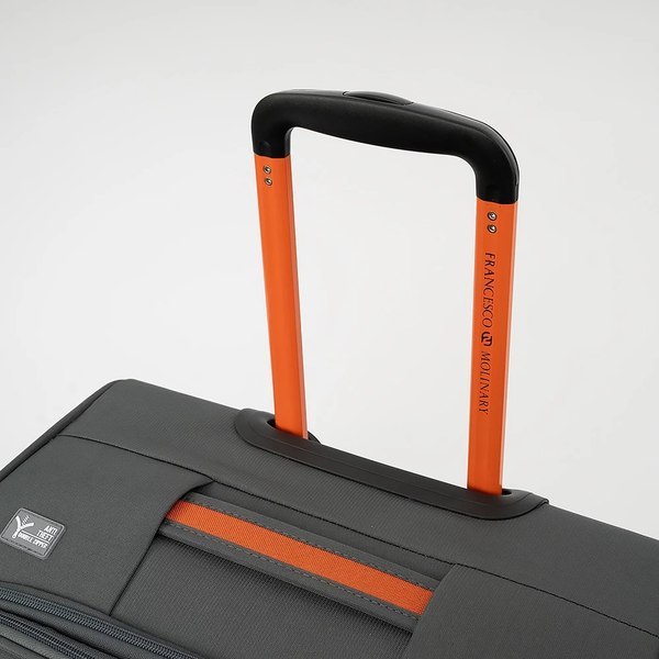 Чемодан на колесах Francesco Molinary 270-29111-3/16GOR