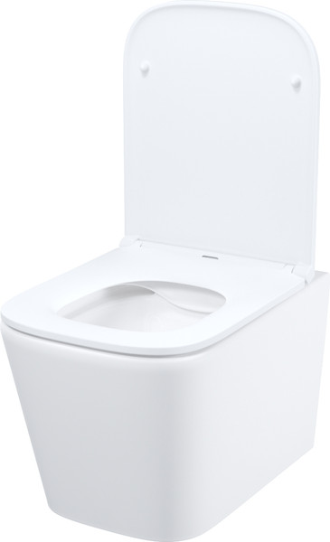 Унитаз подвесной IDDIS Bild BILRNSEi25