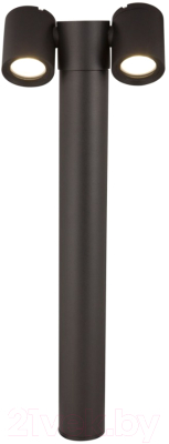 Светильник уличный Maytoni Wall Street O010FL-02B - фото