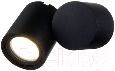 Бра уличное Maytoni Wall Street O010WL-01B - фото