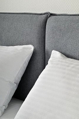 Двуспальная кровать ДСВ Сильвия 1.6