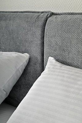 Двуспальная кровать ДСВ Сильвия 1.6