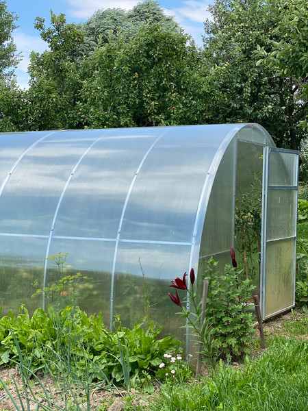 Теплица Садовод Элит ОТ 0.42кг