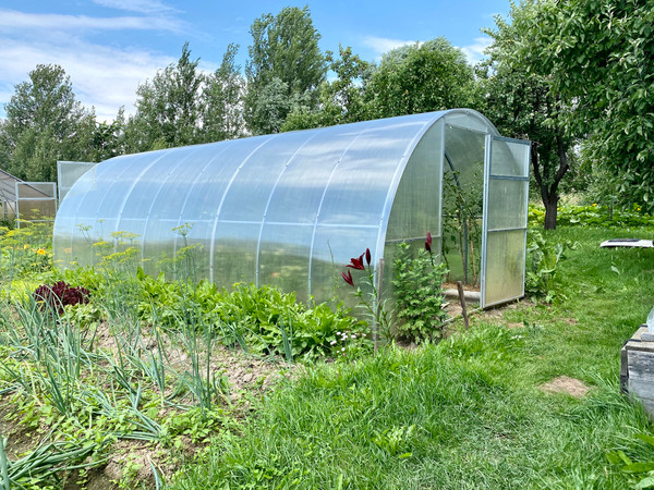 Теплица Садовод Элит ОТ 0.42кг