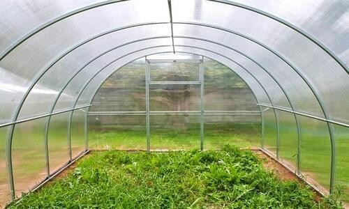 Теплица Садовод Элит ОТ 0.48кг