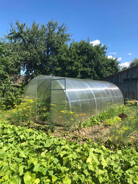 Теплица Садовод Элит ОТ 0.48кг