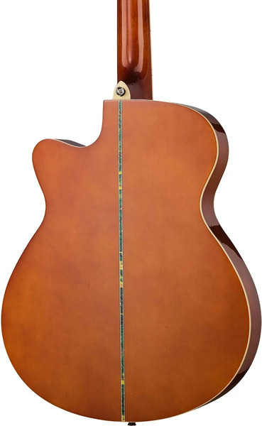 Акустическая гитара Foix FFG-EA12