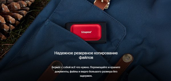 Внешний жесткий диск Kingston SXS1000R/2000G