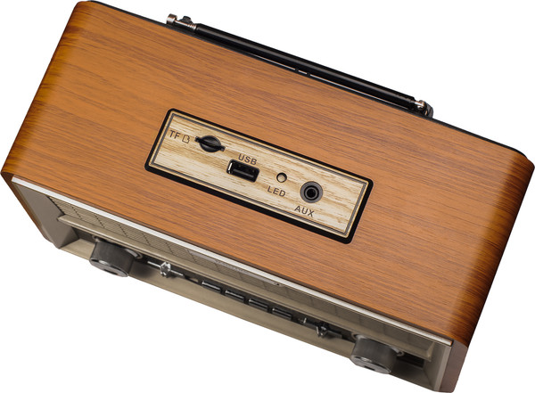 Радиоприемник Ritmix RPR-111