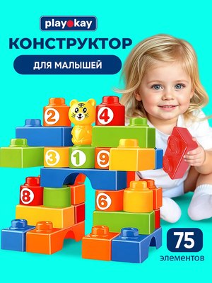 Конструктор PlayOkay 3006