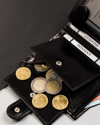 Портмоне Cedar Rovicky / RV-8191L-AAX-3715