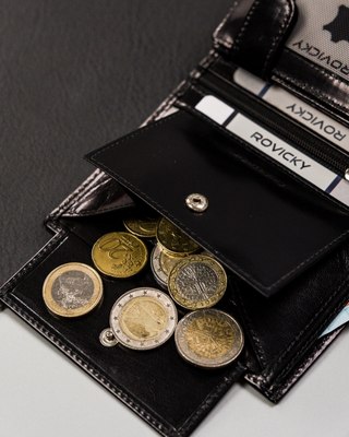 Портмоне Cedar Rovicky RV-8191-AAX-3708