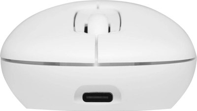 Мышь Acer OMR301 / ZL.MCECC.01U