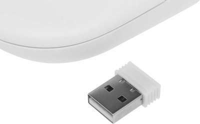 Мышь Acer OMR301 / ZL.MCECC.01U