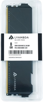 Оперативная память DDR5 Lyambda LRD5M52C38N1GX/8