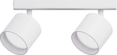 Спот Truenergy 21381 - фото