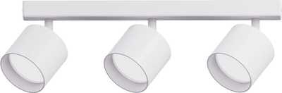 Спот Truenergy 21383 - фото