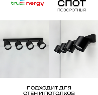 Спот Truenergy 21386