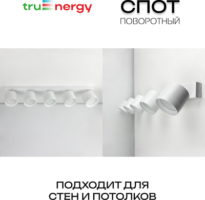 Спот Truenergy 21387