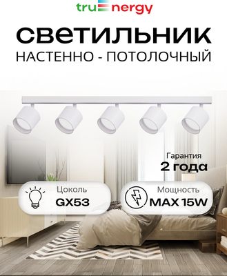 Спот Truenergy 21387