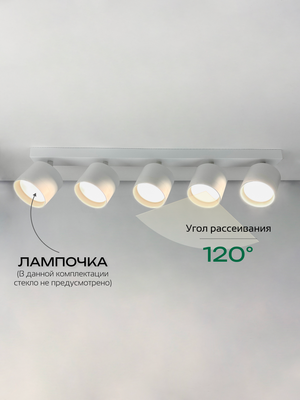 Спот Truenergy 21387