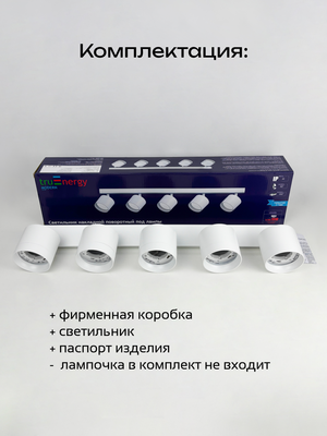 Спот Truenergy 21387