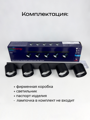Спот Truenergy 21388