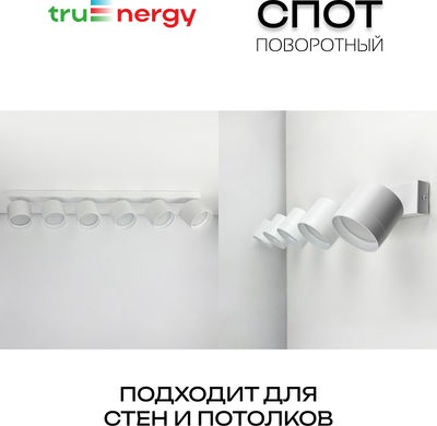 Спот Truenergy 21389