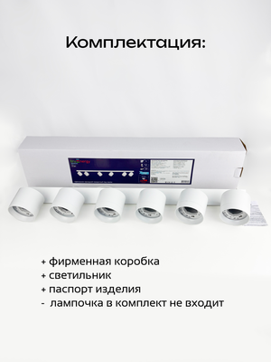 Спот Truenergy 21389