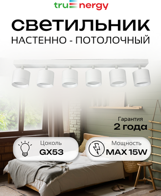 Спот Truenergy 21389