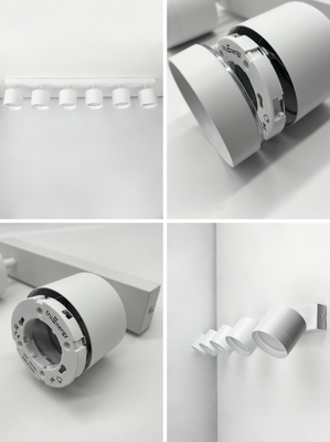 Спот Truenergy 21389