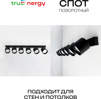 Спот Truenergy 21390
