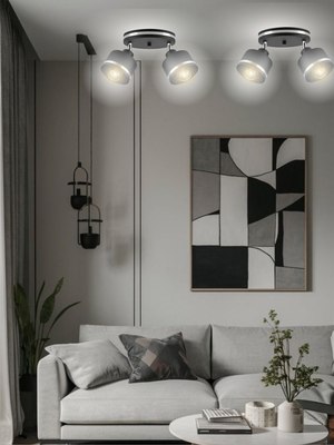 Потолочный светильник Aitin-Pro НПБ 02-2х60-102 / 8841/2