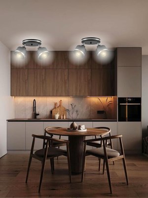 Потолочный светильник Aitin-Pro НПБ 02-2х60-102 / 8841/2