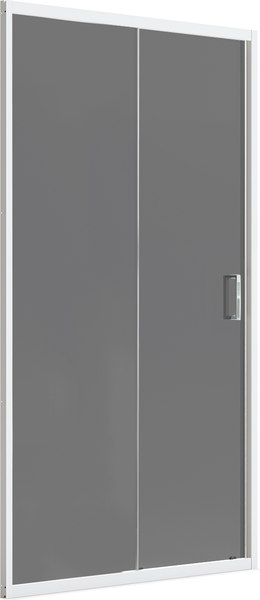 Душевая дверь Domani-Spa DoorCube 100x190 / DS04DCb100L0T00.W - фото
