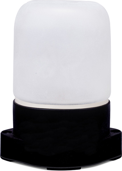 Светильник ЖКХ General Lighting GCF-SNP-60-E27-IP65-W НПБ-400 КСС-001 230В 60Вт / 437785 - фото