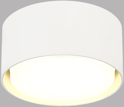 Потолочный светильник ST Luce ST164.502.01 - фото