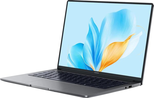 Ноутбук Honor MagicBook X14 2025 FRG-X (5301ALWG)