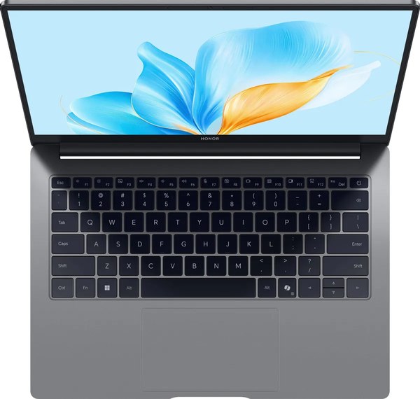 Ноутбук Honor MagicBook X14 2025 FRG-X (5301ALWG)