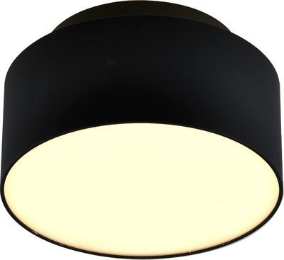 Потолочный светильник ST Luce ST166.432.17 - фото