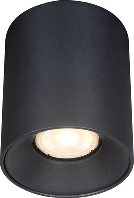 Потолочный светильник ST Luce ST167.402.01 - фото