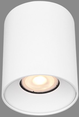 Потолочный светильник ST Luce ST167.502.01 - фото