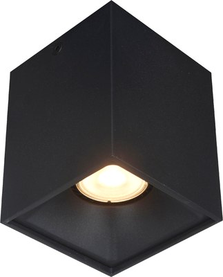 Потолочный светильник ST Luce ST168.402.01 - фото